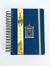 Agenda 14x20 DxP Harry Potter