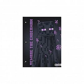 Carpeta Nro.3 Minecraft