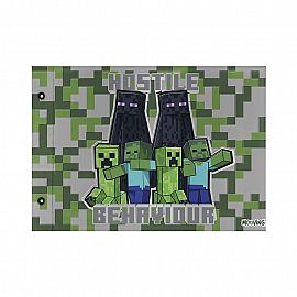 Carpeta Nro.5 de Dibujo Minecraft